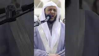 Чтение Корана Мухаммад Обада Quran 