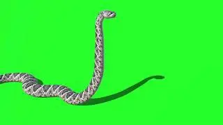 Snake 47 || Green Screen Videos