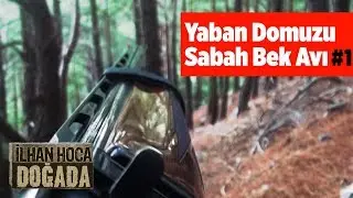 Yaban Domuzu Sabah Bek Avı 1. Bölüm ilhan Hoca Doğada Yaban Tv
