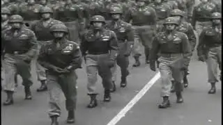 WWII US Victory Parade - Neo Fresco