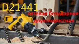 D21441 Специальный обзор для Михаила HeARTwood-а