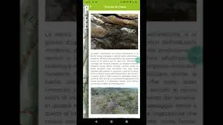 VirtualArch European Project: Mt. Calisio Silver Mines App