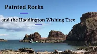 Painting Rocks and the Haddington Wishing Tree