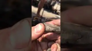Запуск дигателя MAN D0826 после 10 лет простоя.