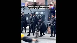Special police officers patrol with police dog to ensure safety