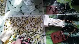 Чувствительный качественный усилитель на трёх биполярных транзисторах