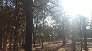 My Calisthenics Motivation