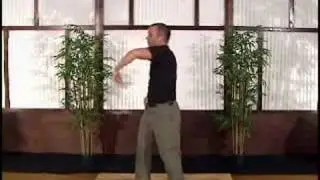 Scott Sonnon Intuflow Intermediate Part 2