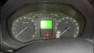 Škoda Octavia 1,9 TDI cold start -17°C