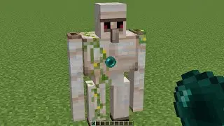 what inside iron golem?