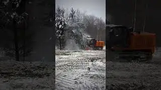 В 2024 году беремся за маленькие объекты от 1 гектара. Расчистка участков от ДКР под строительство.