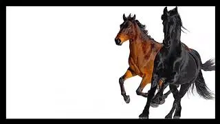 BareCash Troll Track! Old Town Road!