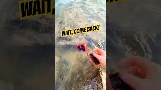 JBL GO 4: Back in the Water 💦