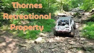 Muddy Thorne