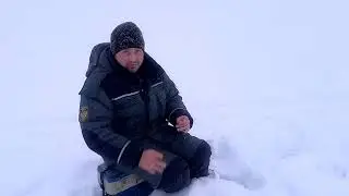 Рыбалка на севере. Озеро Светлое. Супер клев супер окуня.