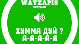 хумма дуй