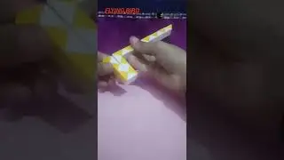 Make a flaying bird 🕊️🕊️ with sneak cube 