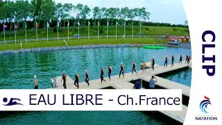 10km de nage dans une eau à 16°C : les Championnats de France d'eau libre - CLIP