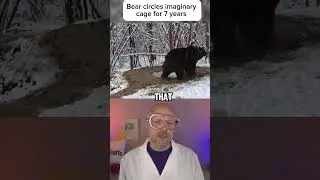 Things humans were not meant to see part 69
