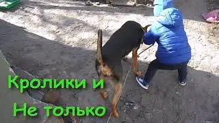 Бюро находок