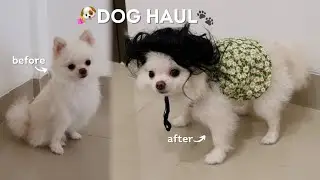 MAKE OVER ANJING AKU😂 | Dog Haul Part. 8