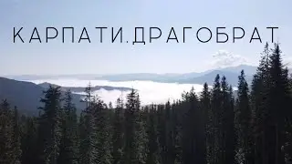 Карпати влітку І Драгобрат I ОАЗА: ціни та розваги