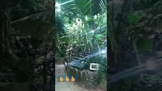 Океанариум Приморский край.