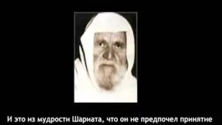 Шейх Альбани: 