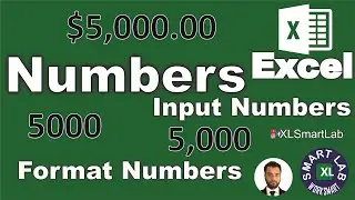 How to Input Numbers and Different Formats in Excel - Playlist Part 03/28 @worksmartwithsharaz