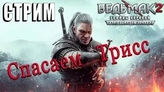 Ведьмак 2: Убийцы королей | The Witcher 2: Assassins of Kings | Прохождение | Стрим #9