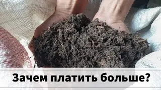 Где я беру торф для посадки голубики.Лайфхак. #shorts