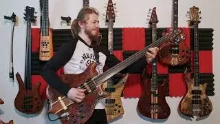 Alembic Fretless 8 String - played like you've never heard before.