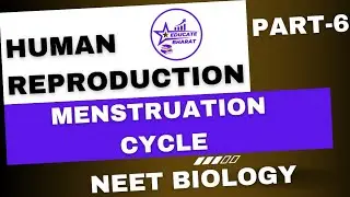 Menstruation Cycle | Human Reproduction | Part 6 | Neet | Saumya Maurya MBBS BHU