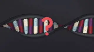 Что такое ДНК ?