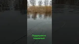 поклёвка на жерлицу-кружок