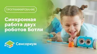 Синхронная работа роботов Ботли от Learning Resources