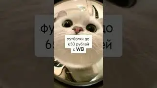 Футболки до 650 рублей с Wildberries 🤍 