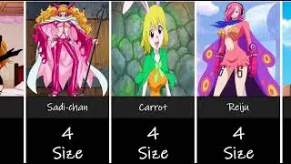 Female characters in the anime One Piece