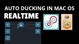 Auto Ducking Discord