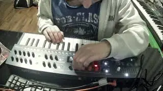 Arturia Minifreak FEEDBACK LOOP SOUNDS AWESOME