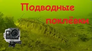 Подводные Поклёвки Бычка на Тилигуле!!!!!!!