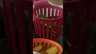 Dampfgareinsatz für Schnellkochtopf, Instant Pot, Töpfe und Kochtöpfe