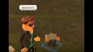 The Warden Experience (Roblox TDS)