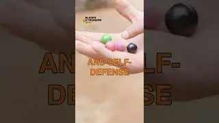 Types Of Balls