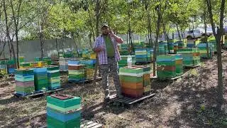 Наше мнение о шестирамочниках !!!