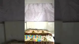 Yatak Başlığı Duvar Kağıdı