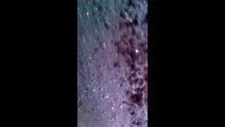 ПОХОЖДЕНИЯ ИНСПКТОРА