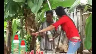 Nashi 778 in Spring Onion and Banana