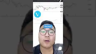 VeChain to the moon 🌝 