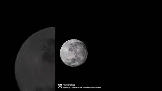 Lunitas 🌕🌖🌗🌘🌑🌒🌓🌔 